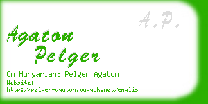 agaton pelger business card